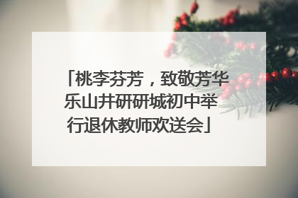 桃李芬芳，致敬芳华 乐山井研研城初中举行退休教师欢送会