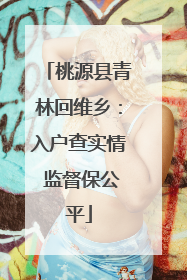 桃源县青林回维乡：入户查实情 监督保公平