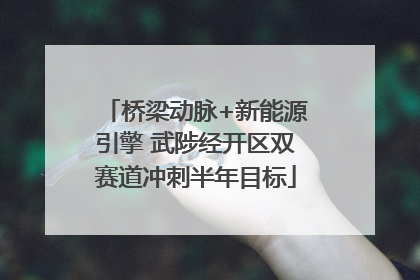 桥梁动脉+新能源引擎 武陟经开区双赛道冲刺半年目标