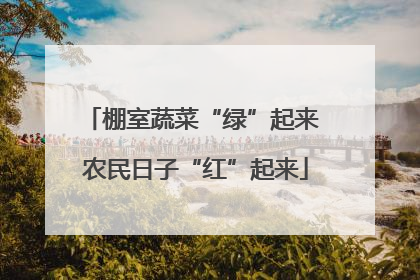 棚室蔬菜“绿”起来 农民日子“红”起来