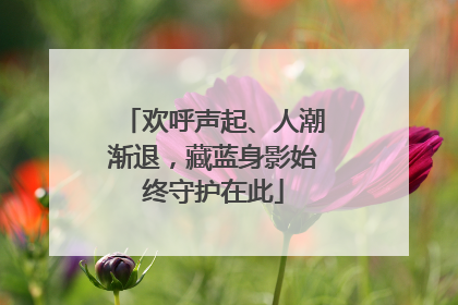 欢呼声起、人潮渐退，藏蓝身影始终守护在此