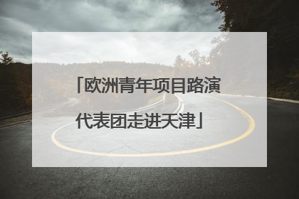 欧洲青年项目路演代表团走进天津
