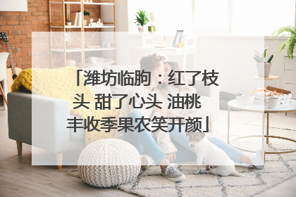 潍坊临朐：红了枝头 甜了心头 油桃丰收季果农笑开颜
