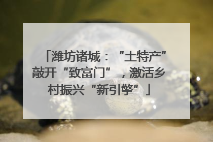 潍坊诸城：“土特产”敲开“致富门”，激活乡村振兴“新引擎”