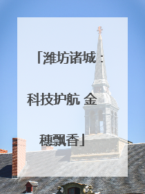 潍坊诸城：科技护航 金穗飘香