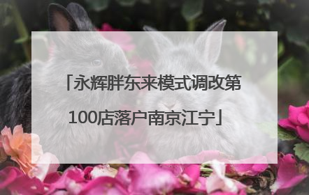 永辉胖东来模式调改第100店落户南京江宁