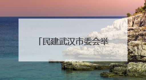民建武汉市委会举办“学规定、强作风、树形象”主题教育暨参政议政能力素质提升培训班