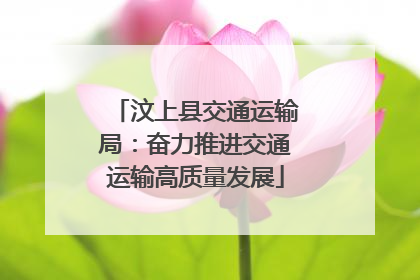 汶上县交通运输局：奋力推进交通运输高质量发展