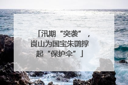 汛期“突袭”，崀山为国宝朱鹮撑起“保护伞”