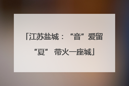 江苏盐城：“音”爱留“夏” 带火一座城