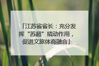 江苏省省长：充分发挥“苏超”撬动作用，促进文旅体商融合