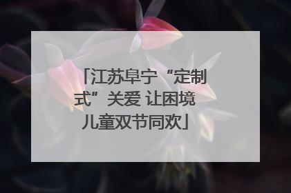江苏阜宁“定制式”关爱 让困境儿童双节同欢