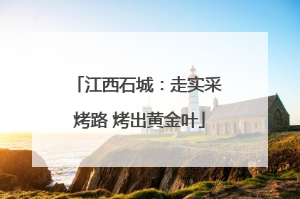 江西石城：走实采烤路 烤出黄金叶