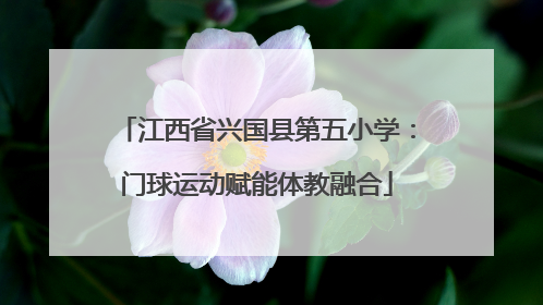江西省兴国县第五小学：门球运动赋能体教融合