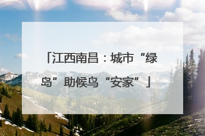 江西南昌：城市“绿岛”助候鸟“安家”