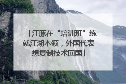 江豚在“培训班”练就江湖本领，外国代表想复制技术回国