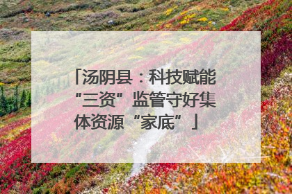 汤阴县：科技赋能“三资”监管守好集体资源“家底”