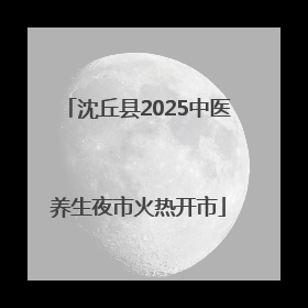沈丘县2025中医养生夜市火热开市