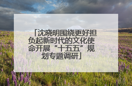 沈晓明围绕更好担负起新时代的文化使命开展“十五五”规划专题调研