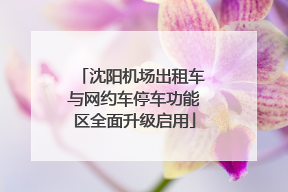 沈阳机场出租车与网约车停车功能区全面升级启用