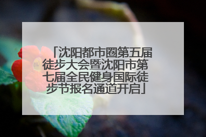 沈阳都市圈第五届徒步大会暨沈阳市第七届全民健身国际徒步节报名通道开启
