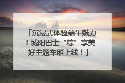 沉浸式体验端午魅力！城阳巴士“粽”享美好主题车厢上线！