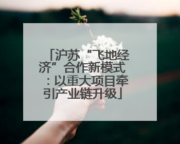 沪苏“飞地经济”合作新模式：以重大项目牵引产业链升级