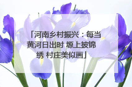 河南乡村振兴：每当黄河日出时 塬上披锦绣 村庄美似画