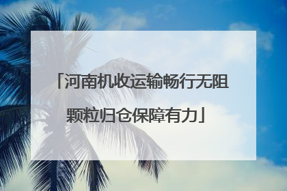 河南机收运输畅行无阻 颗粒归仓保障有力
