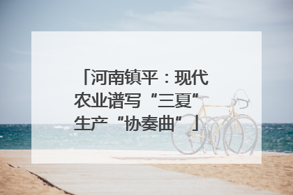 河南镇平：现代农业谱写“三夏”生产“协奏曲”