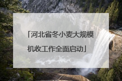 河北省冬小麦大规模机收工作全面启动