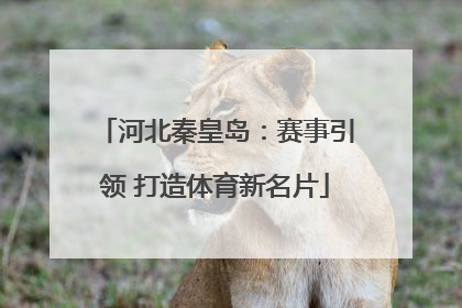河北秦皇岛：赛事引领 打造体育新名片