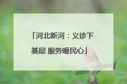 河北新河：义诊下基层 服务暖民心