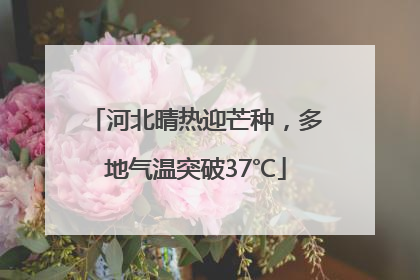 河北晴热迎芒种，多地气温突破37℃