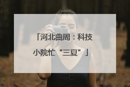 河北曲周：科技小院忙“三夏”