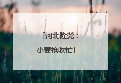 河北隆尧：小麦抢收忙