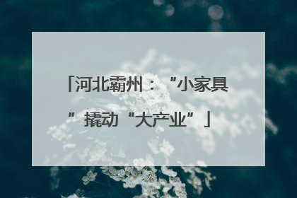 河北霸州：“小家具”撬动“大产业”