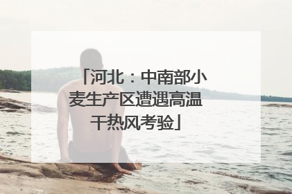 河北：中南部小麦生产区遭遇高温干热风考验