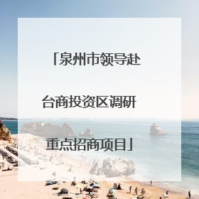 泉州市领导赴台商投资区调研重点招商项目