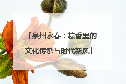 泉州永春：粽香里的文化传承与时代新风