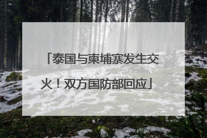 泰国与柬埔寨发生交火！双方国防部回应