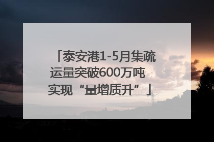 泰安港1-5月集疏运量突破600万吨 实现“量增质升”