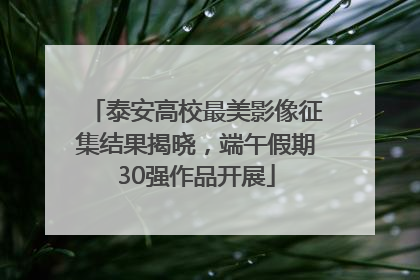 泰安高校最美影像征集结果揭晓，端午假期30强作品开展