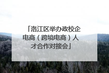 洛江区举办政校企电商（跨境电商）人才合作对接会