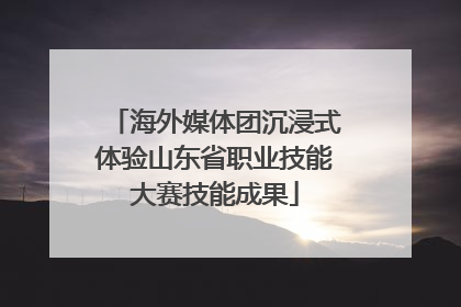 海外媒体团沉浸式体验山东省职业技能大赛技能成果