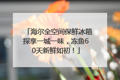 海尔全空间保鲜冰箱探享一城一味，冻鱼60天新鲜如初！