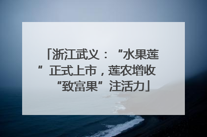 浙江武义：“水果莲”正式上市，莲农增收“致富果”注活力