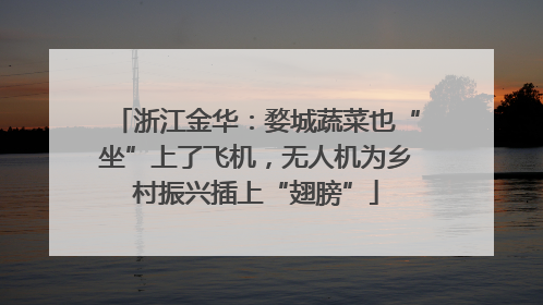 浙江金华：婺城蔬菜也“坐”上了飞机，无人机为乡村振兴插上“翅膀”