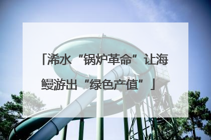 浠水“锅炉革命”让海鳗游出“绿色产值”