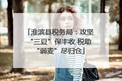 淮滨县税务局：攻坚“三夏”保丰收 税助“弱麦”尽归仓